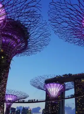 Giardino Dalla Baia Singapore Notte